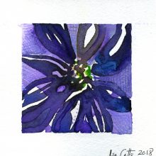Fading Aster - purple 5 x 5 inches Original Watercolor on watercolor paper 2018